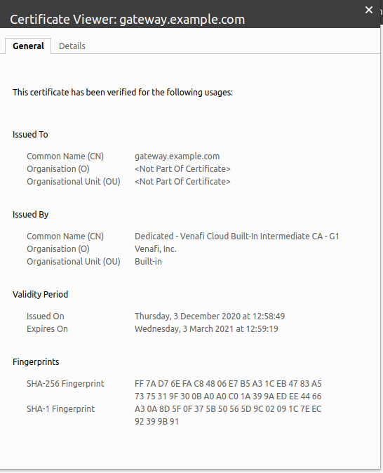 Example cert