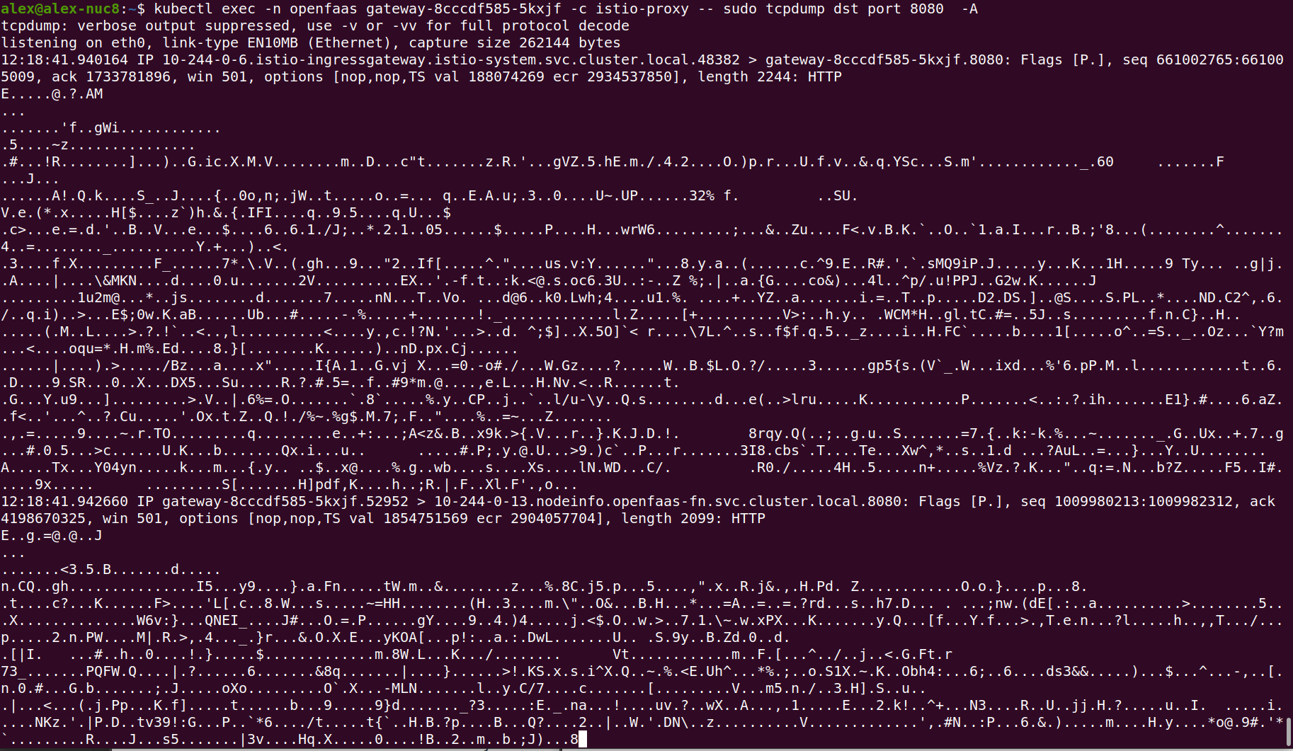 Encrypted traffic to the OpenFaaS Gateway