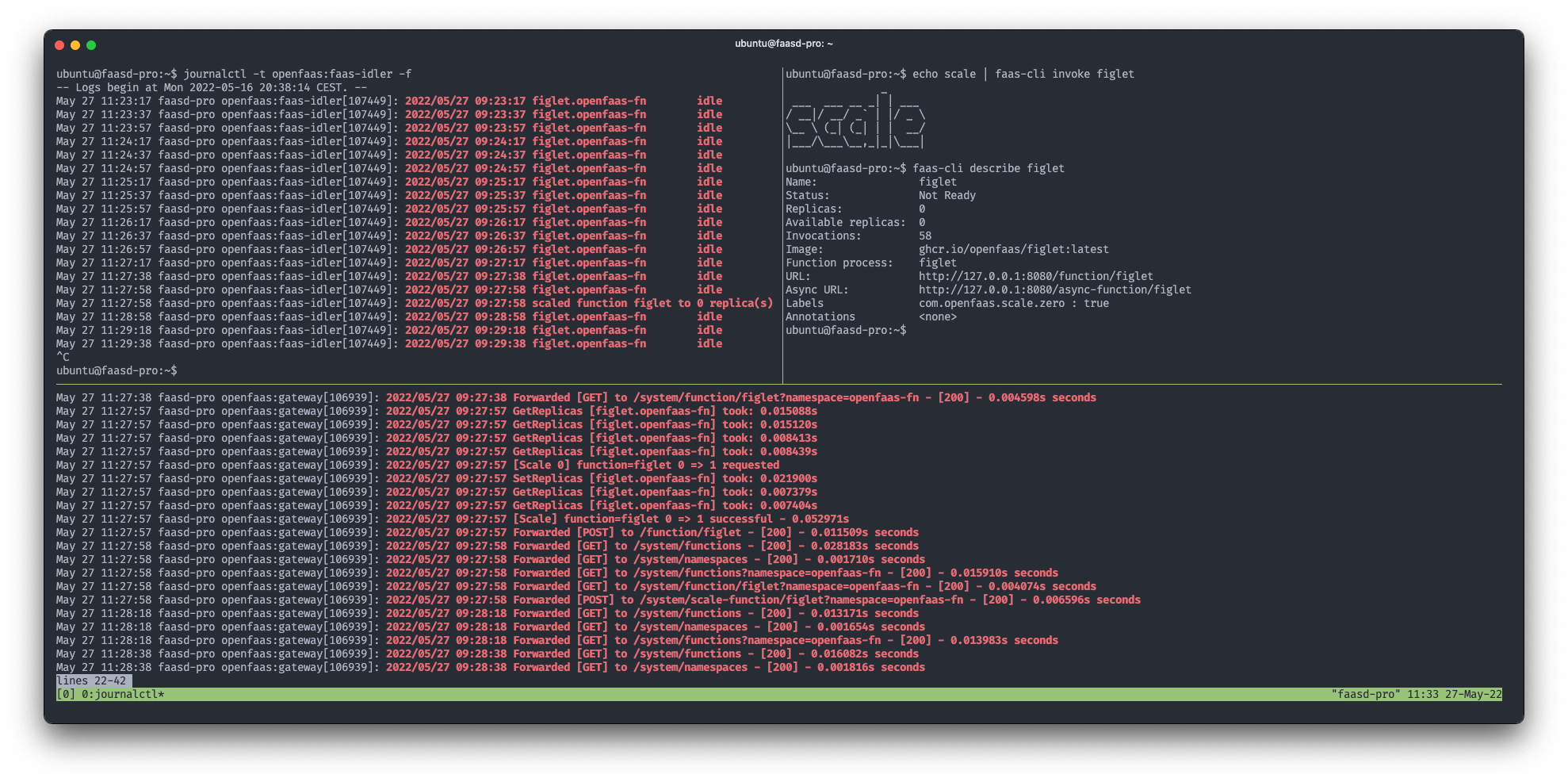 Logs from the faas-idler and gateway showing an idle function scaling up and back to zero after an invocation