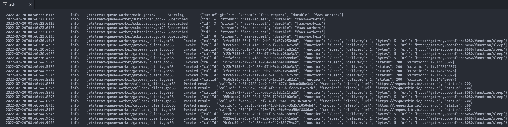 Log excerpt from the queue-worker showing the logs in console format